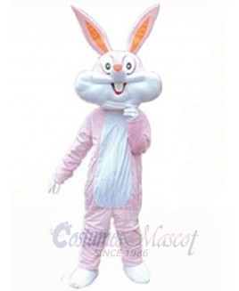 Easter Bunny Rabbit mascot costume