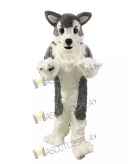 Gray Wolf Husky Dog Mascot Costume