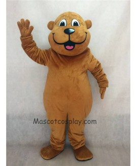 Hot Sale Adorable Realistic New Popular Professional Brown Woody Woodchuck Mascot Costume