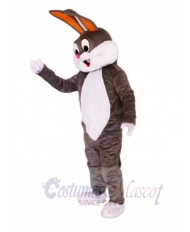 Cute Gray & White Rabbit Mascot Costumes