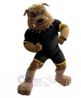 Bulldog mascot costume