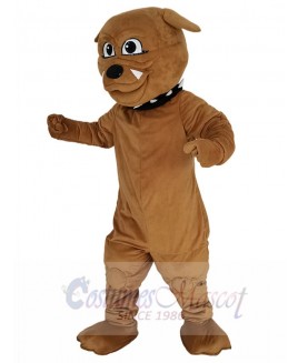 Bulldog mascot costume