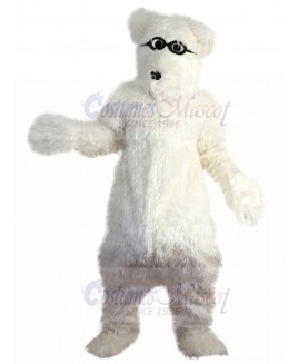 Sun Glasses White Polar Bears Mascot Costume
