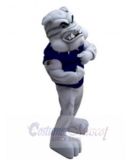 Bulldog mascot costume