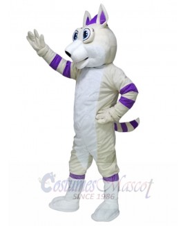 Greamy and Purple Husky Dog Fursuit Mascot Costumes Animal