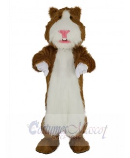 Hamster mascot costume