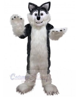 Wolf mascot costume