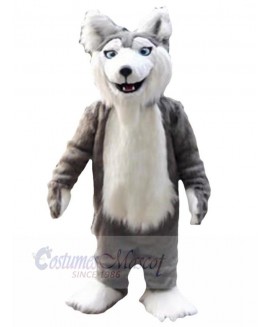 Wolf mascot costume