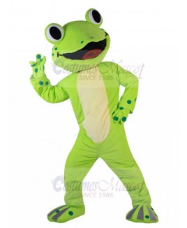 frog mascot costume