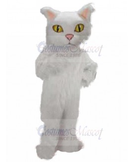 cat mascot costume