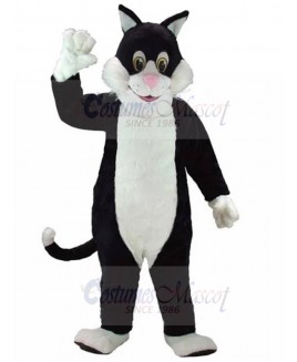 cat mascot costume