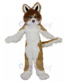 dog mascot costume