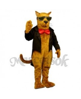 Cute Strayed Cat Mascot Costume