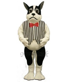 Cute Harrington Dog with Vest Mascot Costume