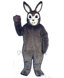 Easter J.R. Bunny Rabbit Mascot Costume