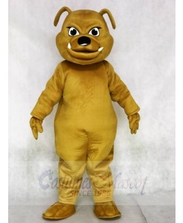 Brown Bulldog Animal Mascot Costumes