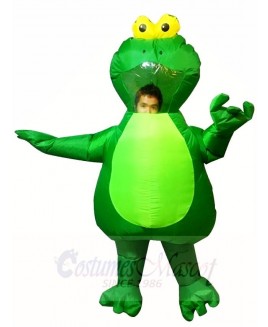 Green Frog Inflatable Halloween Xmas Costumes for Adults