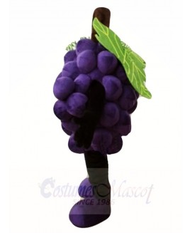 Purple Grape Mascot Costumes Fruit Food Plant