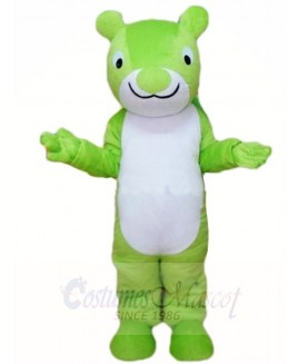 Green Squirrel Mascot Costumes Animal 
