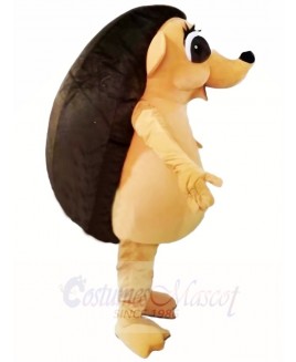 Hedgehog Mascot Costumes Animal 