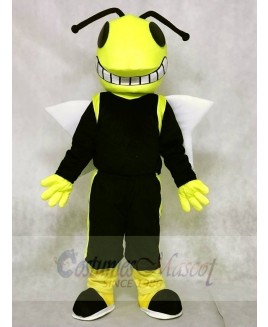 Yellow and Black Hornets Mascot Costumes Insect 