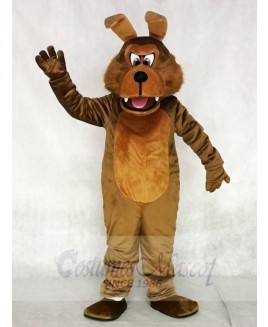 Realistic Coyote Wolf Mascot Costumes Animal