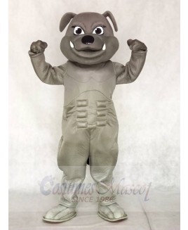 Grey Bulldog Mascot Costumes Animal 