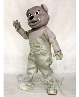Grey Bulldog Mascot Costumes Animal 