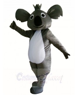 Koala Bear Mascot Costumes Animal