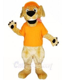 Retriever Dog with Orange Hat and Shirt Mascot Costumes Animal