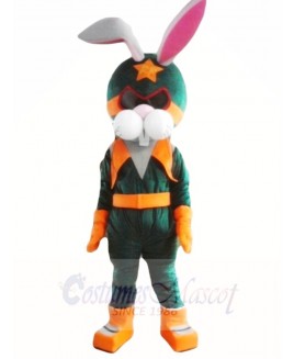 Rabbit Astronauts Space Mascot Costumes Animal