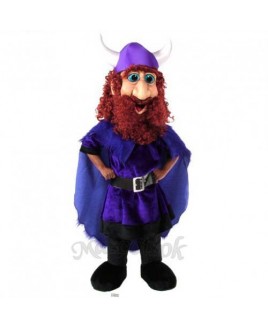 Friendly Viking Mascot Costume