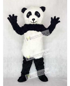 Panda Mascot Adult Costume Animal