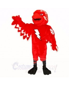 St John Thunderbird Mascot Costumes School