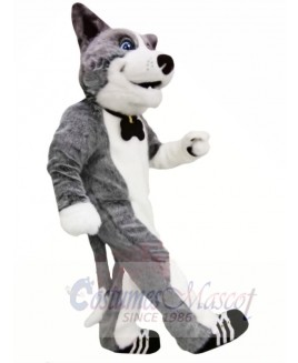 Cute Grey Dog Mascot Costumes