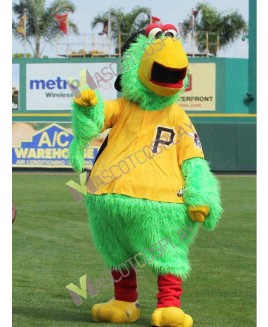 High Quality Realistic Pittsburgh Pirate Parrot Mascot Costume