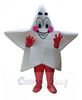 Star mascot costume