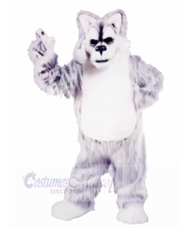 Grey and White Huskey Mascot Costumes Animal