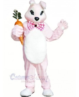 Pink Bunny Rabbit with Carrot Mascot Costumes Animal	