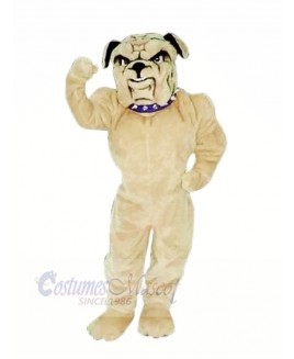 Realistic Bulldog Mascot Costumes Cartoon