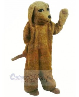 Brown Poodle Dog Mascot Costumes Adult