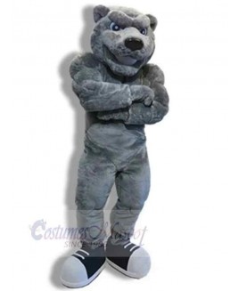 Bear mascot costume