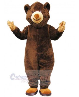 Bear mascot costume