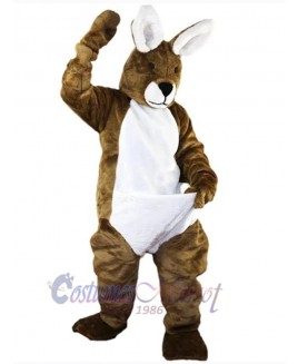 Easter Bunny Rabbit mascot costume