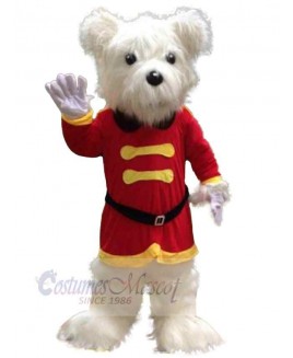 Bear mascot costume