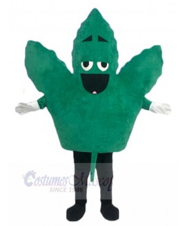Leaf mascot costume