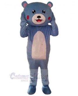 Bear mascot costume