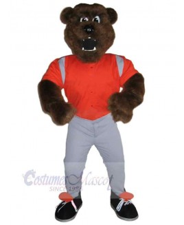 Bear mascot costume