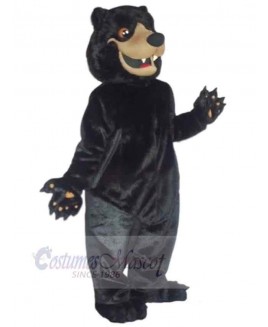 Bear mascot costume