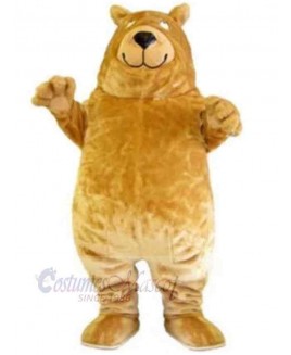 Bear mascot costume